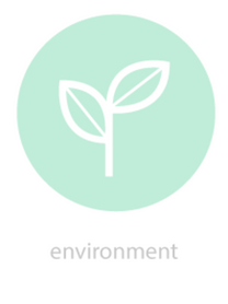 leapicons_environment